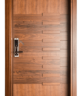 FLUSH DOORS
